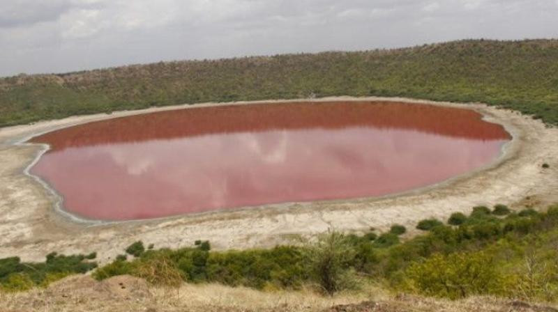 Tuy nhiên, một quan điểm khác cho rằng, hồ Lonar đổi màu được cho có liên quan đến vi khuẩn Haloarchaea và tảo Dunaliella. Chúng phát triển mạnh nên giải phóng sắc tố đỏ (carotenoid) vào nước hồ. Điều này khiến nước hồ đổi màu rất nhanh.