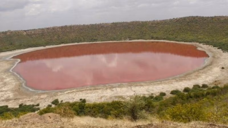 Tuy nhiên, một quan điểm khác cho rằng, hồ Lonar đổi màu được cho có liên quan đến vi khuẩn Haloarchaea và tảo Dunaliella. Chúng phát triển mạnh nên giải phóng sắc tố đỏ (carotenoid) vào nước hồ. Điều này khiến nước hồ đổi màu rất nhanh.