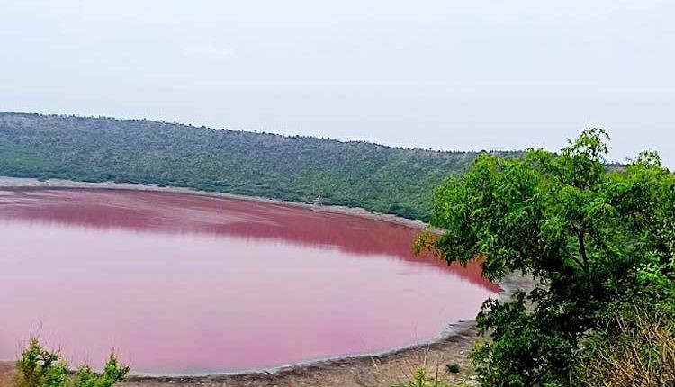 Điều này khiến hồ Lonar chuyển sang màu hồng chỉ sau một đêm. Lời giải thích này của ông Kharat được nhiều người ủng hộ.