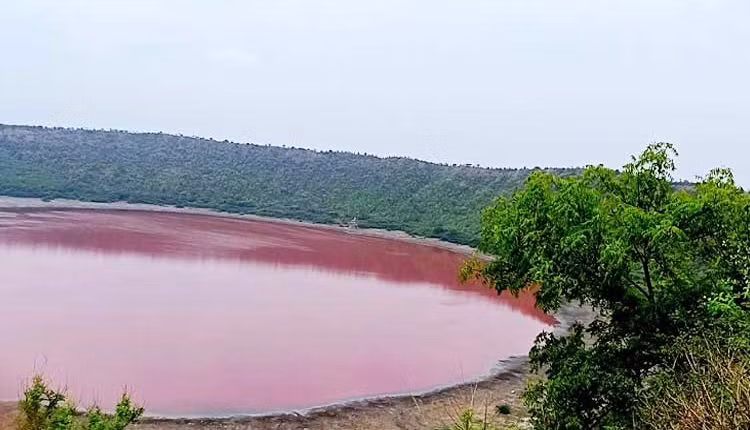 Điều này khiến hồ Lonar chuyển sang màu hồng chỉ sau một đêm. Lời giải thích này của ông Kharat được nhiều người ủng hộ.