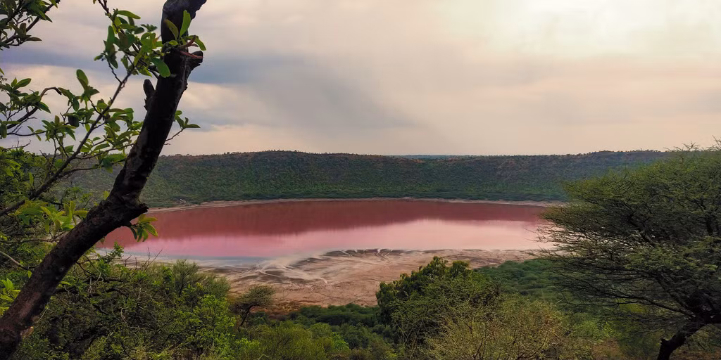 Giống như nhiều hồ nước trên thế giới, hồ Lonar có nước trong xanh trong suốt nhiều thập kỷ. Tuy nhiên, chỉ sau một đêm, hồ nước này đột ngột đổi màu sang hồng, giống màu của sữa dâu.