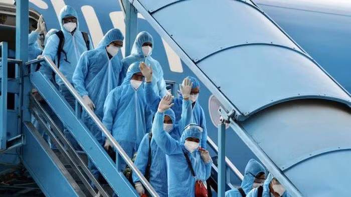 Thu truong, cuc truong va 6 doi tuong bi bat giam vi vu 'chuyen bay giai cuu'-Hinh-2