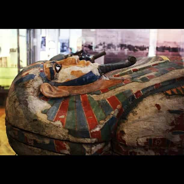 Theo nội dung khắc trên quan tài bằng chữ Hieroglyphic, 2 xác ướp thuộc về cặp anh em có tên Khnum-nakht và Nakht-ankh. Họ được chôn cất vào khoảng năm 1800 trước Công nguyên.