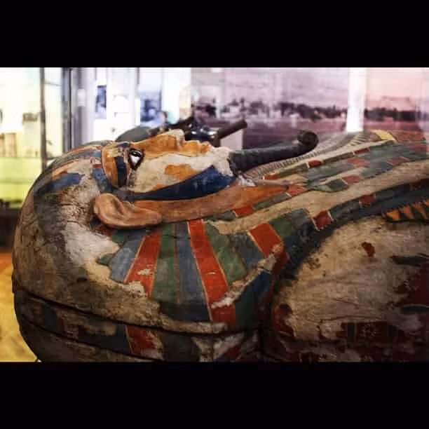 Theo nội dung khắc trên quan tài bằng chữ Hieroglyphic, 2 xác ướp thuộc về cặp anh em có tên Khnum-nakht và Nakht-ankh. Họ được chôn cất vào khoảng năm 1800 trước Công nguyên.