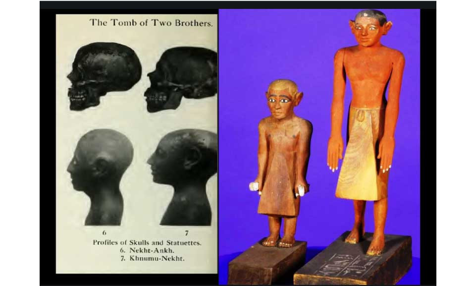 Khnum-nakht và Nakht-ankh đúng là anh em ruột. Họ có cùng một mẹ. Thế nhưng, kết quả kiểm tra ADN cũng chỉ ra cha của hai người là những người khác nhau.