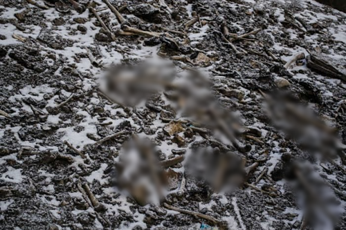 Một vài giả thuyết khác cho rằng những người này tử vong và vùi xác dưới đáy hồ Roopkund do gặp phải những thảm kịch kinh hoàng như: sạt lở đất, mưa đá, thảm sát, bệnh tật hay tự sát tập thể.