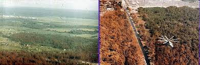 Theo một số chuyên gia, "khu rừng Đỏ" vô cùng nguy hiểm, không thích hợp để con người ra vào vì chỉ cần hít phải bụi phóng xạ là có khả năng bị nhiễm độc.