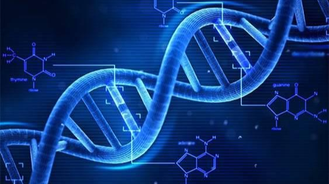 Lan dau tien giai ma thanh cong bo gen nguoi hoan chinh