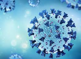 Sinh vật phù du lang thang khắp các đại dương và là vật chủ phổ biến của RNA. Quá trình sàng lọc dựa vào trí tuệ nhân tạo đã giúp xác định được hơn 44.000 gen mã hóa của virus. Các chuyên gia hy vọng việc giải mã này sẽ giúp hiểu rõ hơn cách thức hoạt động của các loại virus RNA.