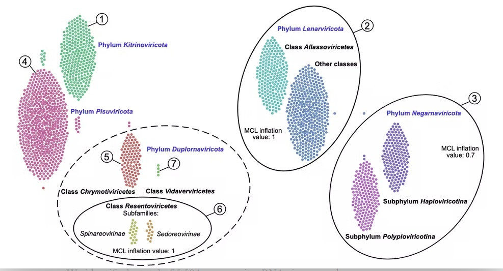 Cụ thể, các nhà khoa học phát hiện có 5.504 loại virus RNA chưa từng biết đến mới được xác định trong một cuộc phân tích vật chất di truyền trong đại dương và làm tăng gấp 2 lần số lượng nhóm sinh học của các virus được cho là tồn tại.