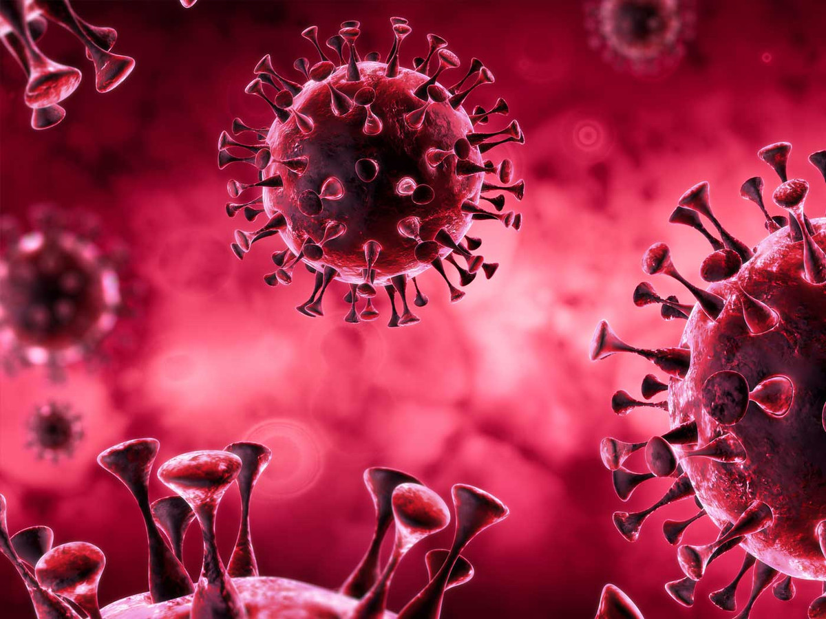 Nhóm nghiên cứu do tiến sĩ Ahmed Zayed - nhà khoa học vi sinh từ Đại học Ohio dẫn đầu cho hay virus RNA đóng vai trò quan trọng trong hệ sinh thái của chúng ta.