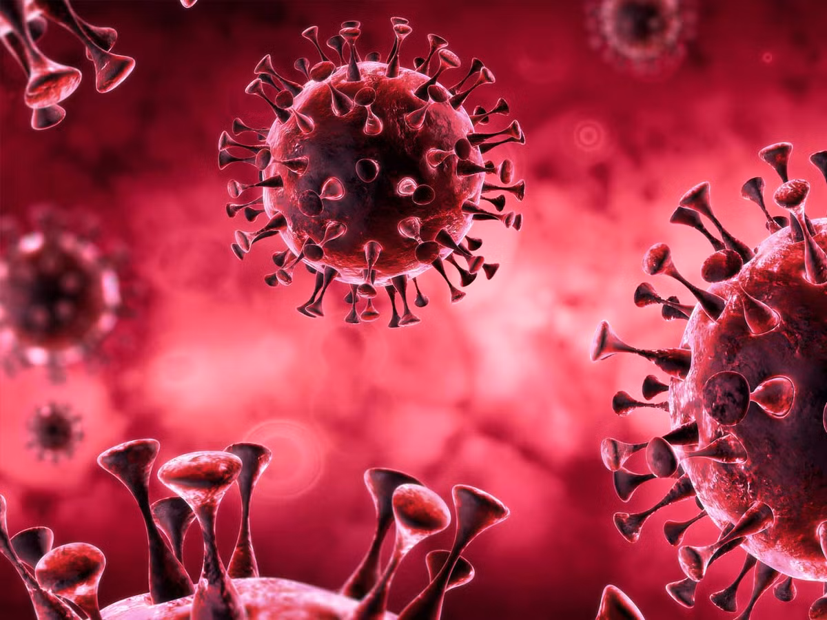 Nhóm nghiên cứu do tiến sĩ Ahmed Zayed - nhà khoa học vi sinh từ Đại học Ohio dẫn đầu cho hay virus RNA đóng vai trò quan trọng trong hệ sinh thái của chúng ta.