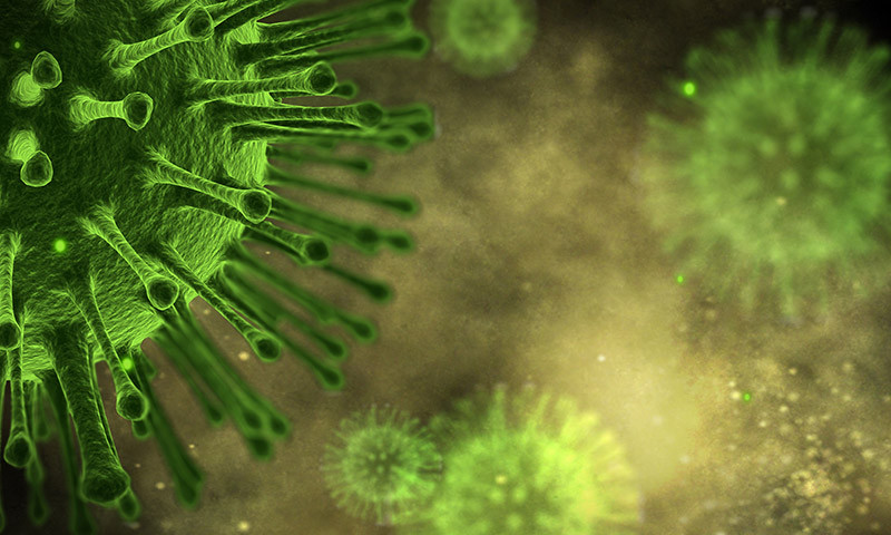 Nguyên do là bởi virus RNA lây nhiễm sang nhiều sinh vật khác nhau, bao gồm cả vi khuẩn. Từ đó, chúng ảnh hưởng đến môi trường và lưới thức ăn của hành tinh ở cấp độ hóa học.