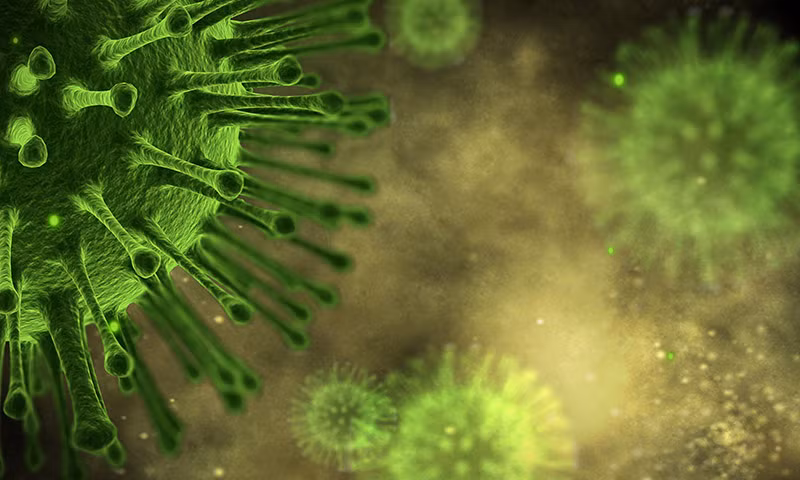 Nguyên do là bởi virus RNA lây nhiễm sang nhiều sinh vật khác nhau, bao gồm cả vi khuẩn. Từ đó, chúng ảnh hưởng đến môi trường và lưới thức ăn của hành tinh ở cấp độ hóa học.