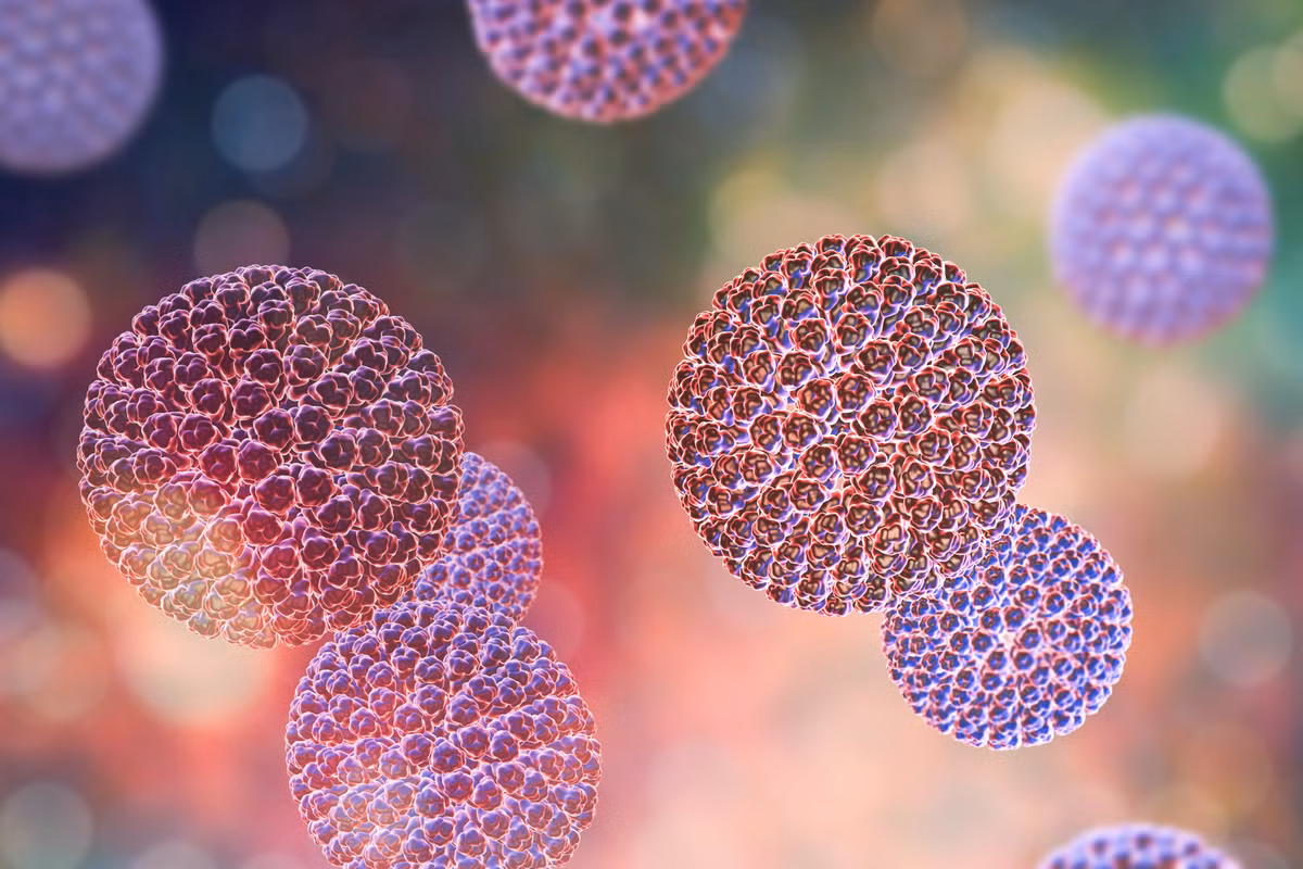 Do vậy, việc xác định được hơn 5.000 loại virus RNA sẽ giúp các nhà khoa học hiểu rõ hơn lịch sử tiến hóa của virus này cũng như thu thập được nhiều dữ liệu quan trọng về sự tiến hóa của sự sống sơ khai trên Trái đất.