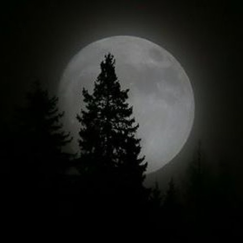 Cụ thể, nhóm nghiên cứu của nhà thiên văn học Ávalia thực hiện mô hình hóa khả năng tồn tại của các "ngoại Mặt trăng" xung quanh các "hành tinh thất bại".