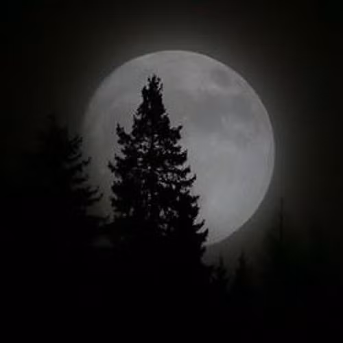 Cụ thể, nhóm nghiên cứu của nhà thiên văn học Ávalia thực hiện mô hình hóa khả năng tồn tại của các "ngoại Mặt trăng" xung quanh các "hành tinh thất bại".