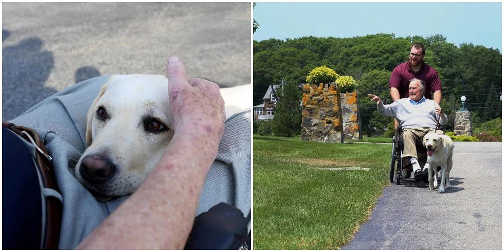 Cố Tổng thống Bush "cha" đặt tên cho Sully theo tên của cựu phi công Chesley B. Sully Sullenberger III, người đã được biết tiếng qua vụ hạ cánh chiếc máy bay dân sự bị hỏng trên sông Hudson và giữ lại sinh mạng cho toàn bộ 155 hành khách và phi hành đoàn vào năm 2009.