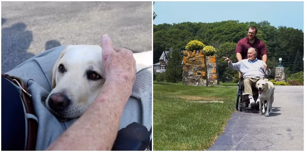 Cố Tổng thống Bush "cha" đặt tên cho Sully theo tên của cựu phi công Chesley B. Sully Sullenberger III, người đã được biết tiếng qua vụ hạ cánh chiếc máy bay dân sự bị hỏng trên sông Hudson và giữ lại sinh mạng cho toàn bộ 155 hành khách và phi hành đoàn vào năm 2009.