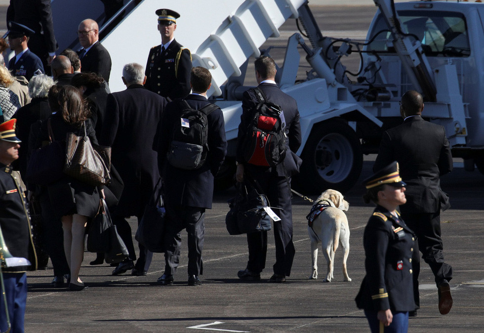 Chó Sully là chú chó được đào tạo bởi VetDogs, một chương trình huấn luyện chó nghiệp vụ của Mỹ để giúp đỡ cho các cựu chiến binh, các quân nhân và những người thuộc các đơn vị phản ứng nhanh bị khuyết tật.