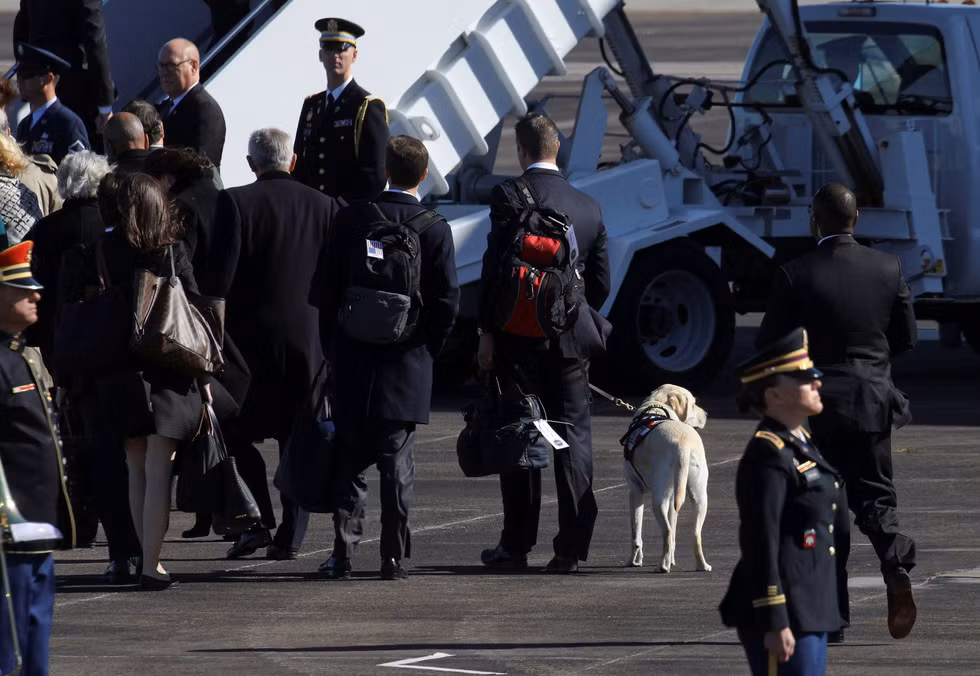 Chó Sully là chú chó được đào tạo bởi VetDogs, một chương trình huấn luyện chó nghiệp vụ của Mỹ để giúp đỡ cho các cựu chiến binh, các quân nhân và những người thuộc các đơn vị phản ứng nhanh bị khuyết tật.