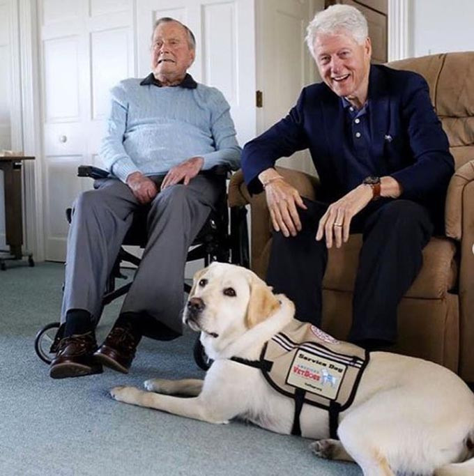 Chú chó Sully được đưa tới phục vụ ông Bush “cha” vào mùa hè năm nay, sau khi cựu đệ nhất phu nhân Barbara Bush qua đời hồi đầu năm.