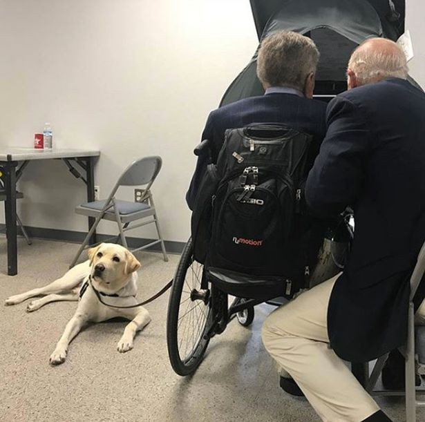 Chú chó rất nổi tiếng, đặc biệt, nó có cả một tài khoản Instagram riêng, với hơn 98.000 người theo dõi, tính đến ngày 3/12.