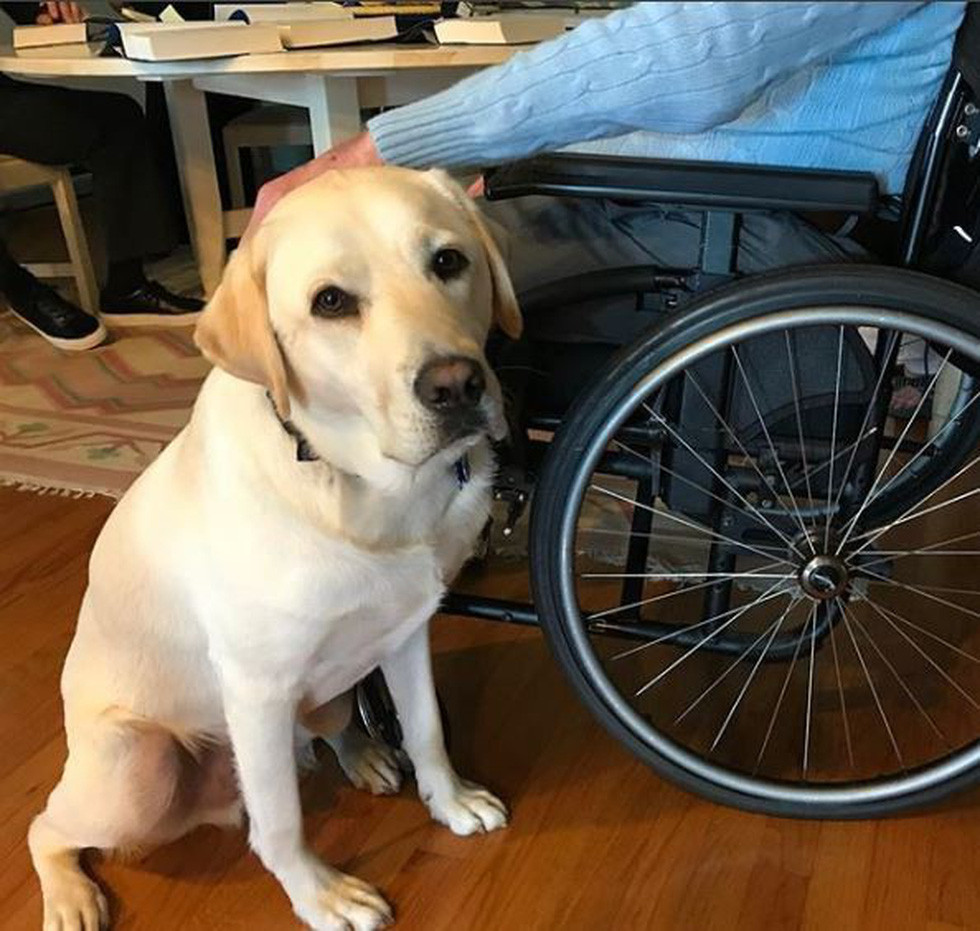 Được biết, danh sách những mệnh lệnh mà Sully có thể thực hiện dài tới hai trang giấy, trong đó có cả việc trả lời điện thoại.