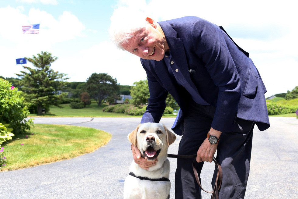 Là chó nghiệp vụ được huấn luyện cao, nên giờ đây Sully sẽ quay trở lại phục vụ cho các cựu chiến binh khác và sẽ được đưa đến Trung tâm Y tế Quân sự Quốc gia Walter Reed