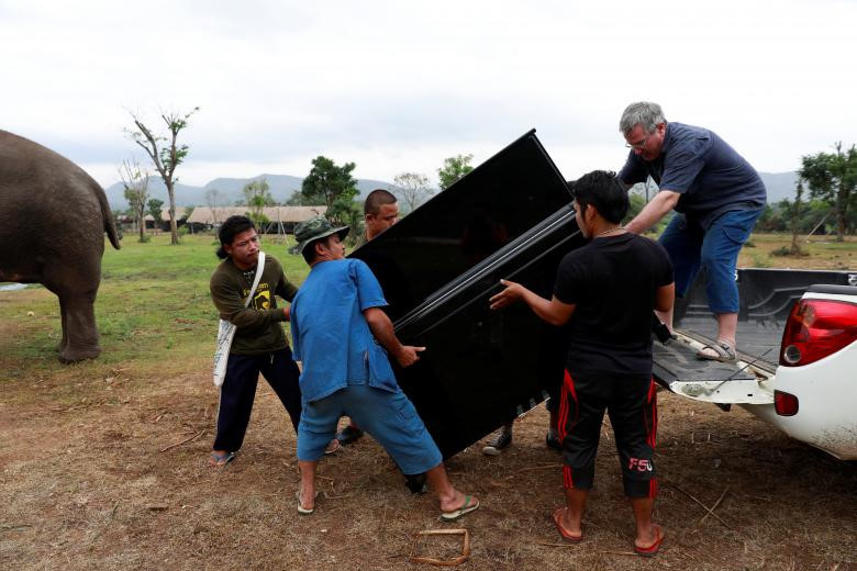 Vài lần một tuần, nghệ sĩ piano cổ điển người Anh Barton, 57 tuổi, lại đặt cây đàn piano ở bìa rừng và chơi đàn cho những người bạn bốn chân của mình. "Có thể một vài con voi mù ở đây sẽ cảm thấy dễ chịu phần nào khi nghe những bản nhạc cổ điển êm dịu," Barton, người từng học tại Học viện Nghệ thuật Hoàng gia London, nói.