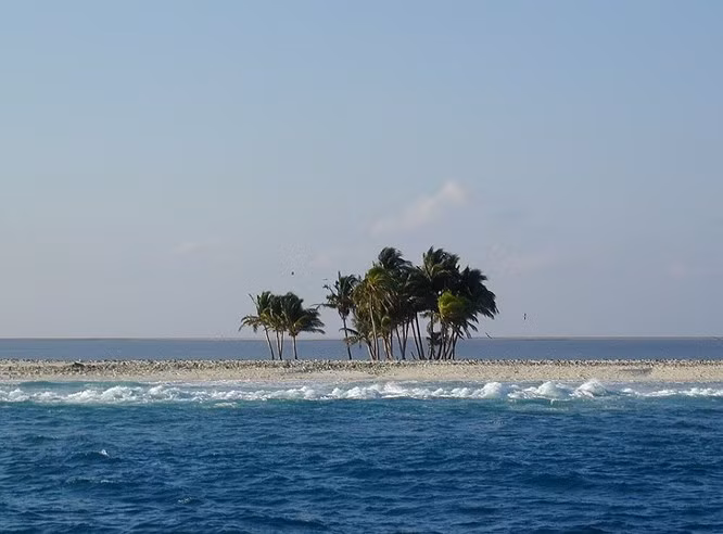 5. Đảo Clipperton Đảo Clipperton là một đảo san hô nhỏ với diện tích chỉ 6km2 nằm ở Thái Bình Dương, cách đất liền hàng nghìn cây số. Vào những năm 1910, người ta đã xây dựng một ngọn hải đăng trên đảo, dân số lúc này khoảng 100 người, bao gồm các gia đình và trẻ nhỏ. Cứ sau 2 tháng, một con tàu sẽ đến tiếp tế thực phẩm và các nhu yếu phẩm khác. Cho đến năm 1914, các tàu tiếp tế thực phẩm dừng hoạt động vì Nội chiến Mexico. Người dân trên đảo bị lãng quên, tự tìm cách sống sót trên đảo san hô nhỏ không có rừng và đất nông nghiệp. Năm 1917, những người sống sót cuối cùng gồm 3 phụ nữ và 8 trẻ em, tất cả đều bị suy dinh dưỡng nghiêm trọng đã được một tàu Mỹ cứu thoát và sơ tán.