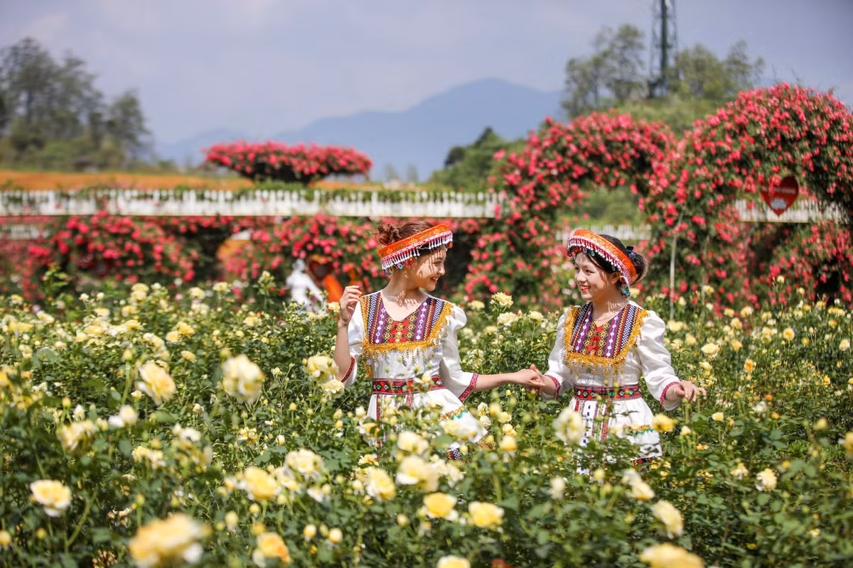 Du lịch Fansipan mùa hoa đỗ quyên và lễ hội hoa hồng - Hình 4 Du lich Fansipan mua hoa do quyen va le hoi hoa hong-Hinh-4