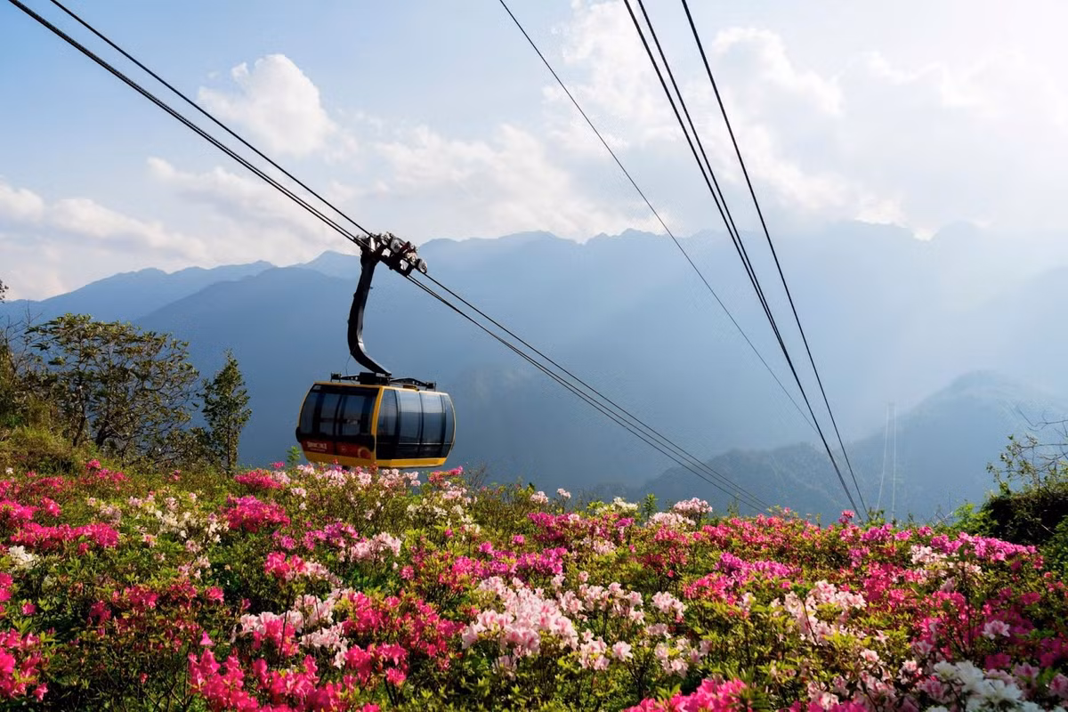 Du lịch Fansipan mùa hoa đỗ quyên và lễ hội hoa hồng - Hình 2 Du lich Fansipan mua hoa do quyen va le hoi hoa hong-Hinh-2