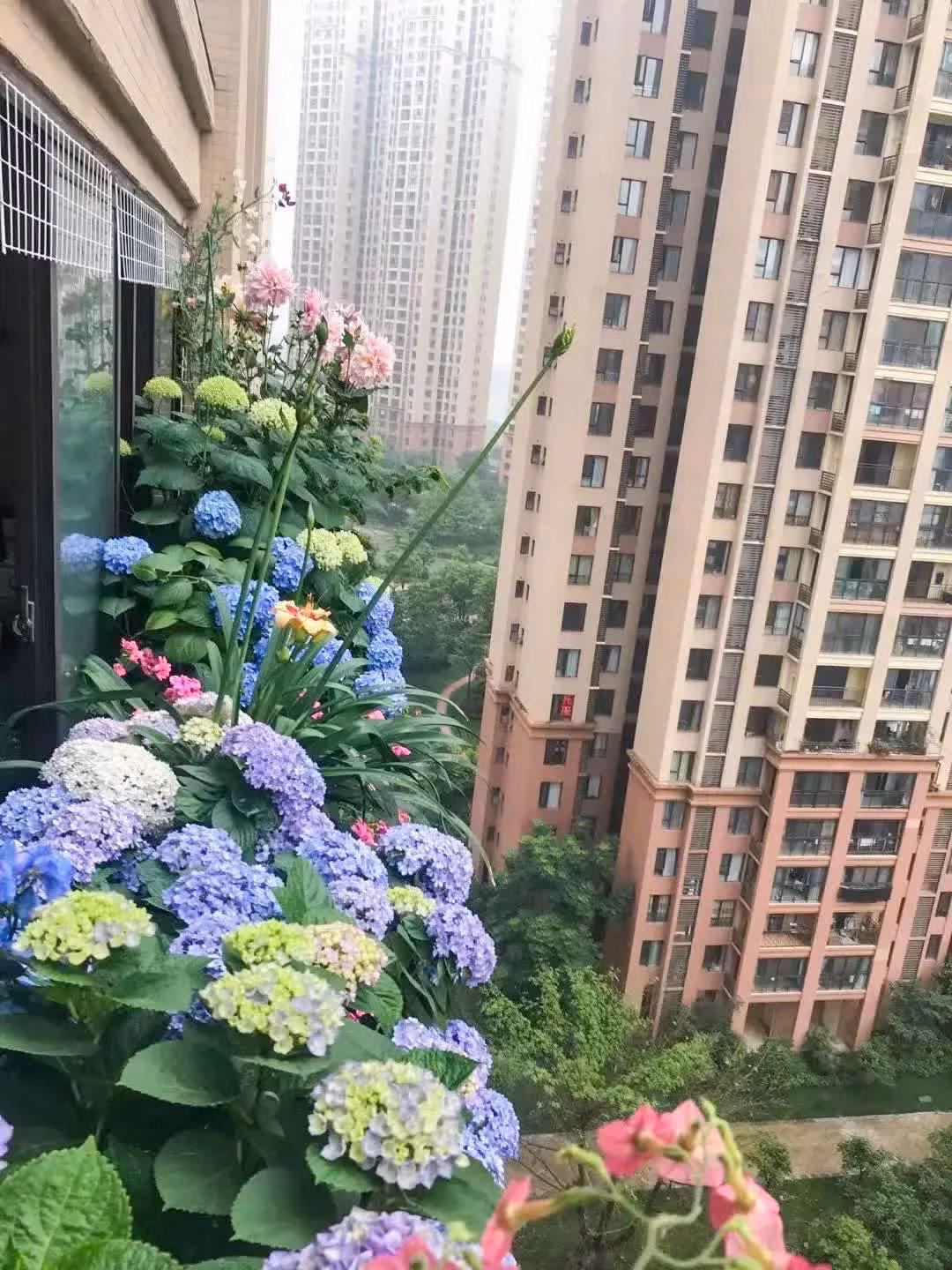 4 khu vuon ban cong khep kin khien ban 'me man'