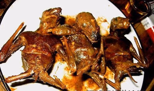 Dot tu, nhiem benh dai do an tiet canh, uong mau doi-Hinh-2