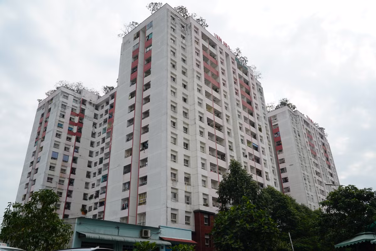 Chung cư Thái An gồm các tòa nhà Thái An 1,2,3,4 (phường Đồng Hưng Thuận, quận 12, TP HCM) do Công ty Xây dựng Đất Lành làm chủ đầu tư.