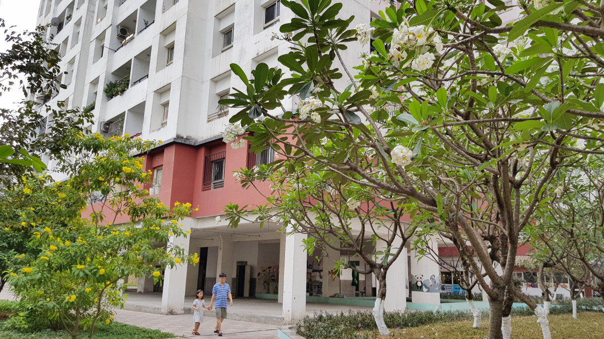 Không gian xanh giữa các tòa nhà.