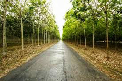 Yeu rau xanh hiep dam xong con nhan tin khoe ban