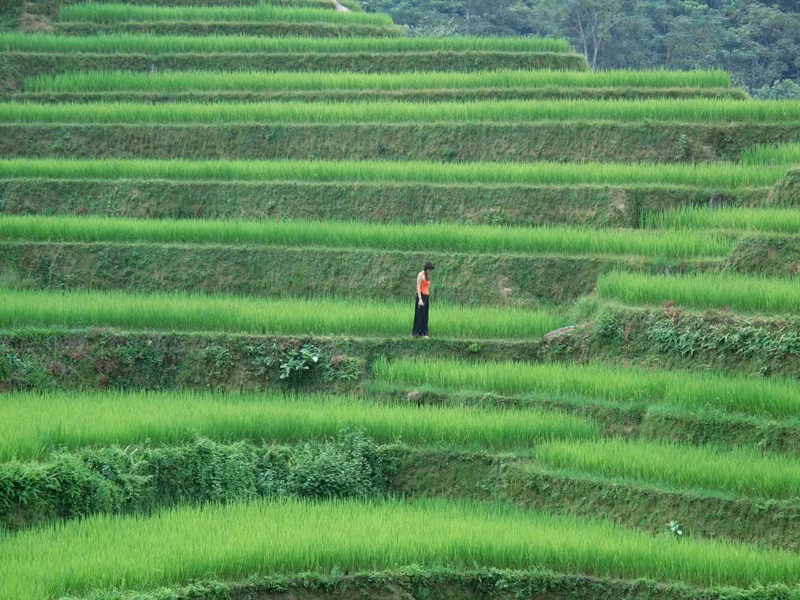 "Nghĩ lại tôi thấy mình đã lựa chọn đúng, nếu cứ theo tiếp, tôi tin mình có thể thành công nhưng chắc chắn lúc đó tôi là một người rất bất hạnh", cô nói.