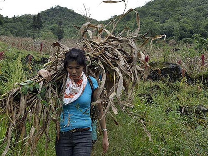 Câu chuyện của "Người khác" viết ra từ cuộc đời của Thu Thủy khi không là hoa hậu. Ảnh: Người lao động