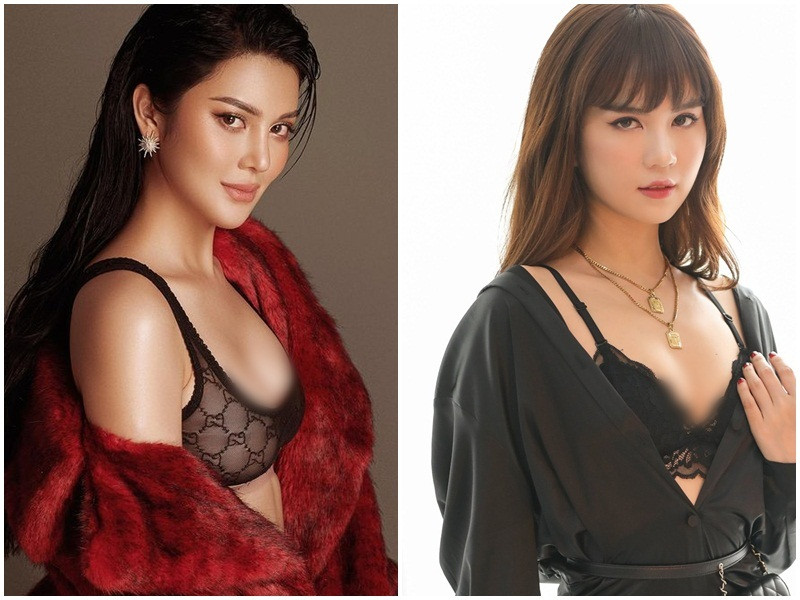 Lily Chen sinh năm 1995, kém Ngọc Trinh 6 tuổi. Cả hai từng thi nhan sắc. Nếu như Lily Chen lọt top 15 Hoa hậu Siêu quốc gia Việt Nam 2018, Ngọc Trinh đăng quang cuộc thi nhan sắc bị gắn mác ao làng Hoa hậu quốc tế Việt Nam 2011.