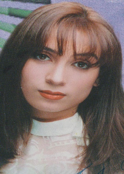 Năm 1989, Phi Nhung sang Mỹ nhờ một người mợ bảo lãnh. Ở xứ người, Phi Nhung bươn chải bằng nhiều nghề. Cô từng làm công nhân sản xuất đèn cầy và đóng hộp thực phẩm. Vì làm 2 công việc nên Phi Nhung chỉ ngủ 3 tiếng/ngày.