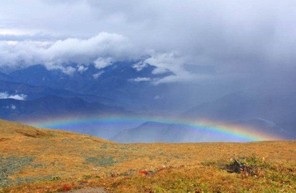 Và nếu đủ may mắn, trên đường đi vệ sinh, bạn sẽ nhìn thấy đỉnh của cầu vồng tuyệt đẹp như thế này.