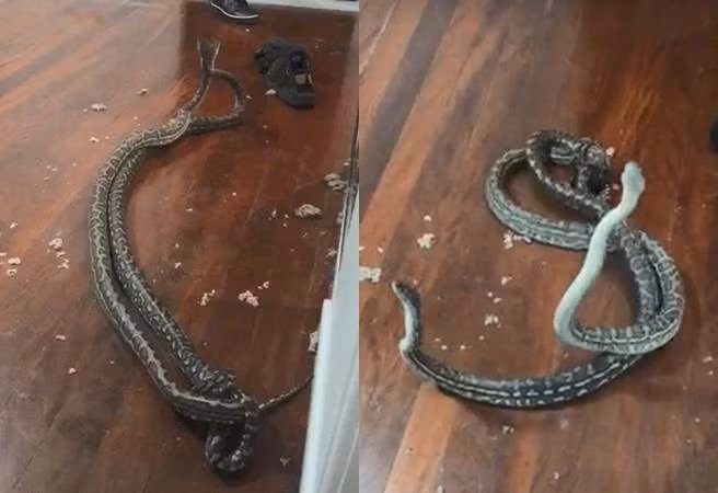 Kich tinh tran khong lo danh nhau den thung tran nha dan