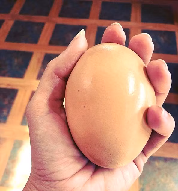 Trứng khổng lồ "mang bầu" thêm trứng gây sửng sốt - Hình 2 Trung khong lo