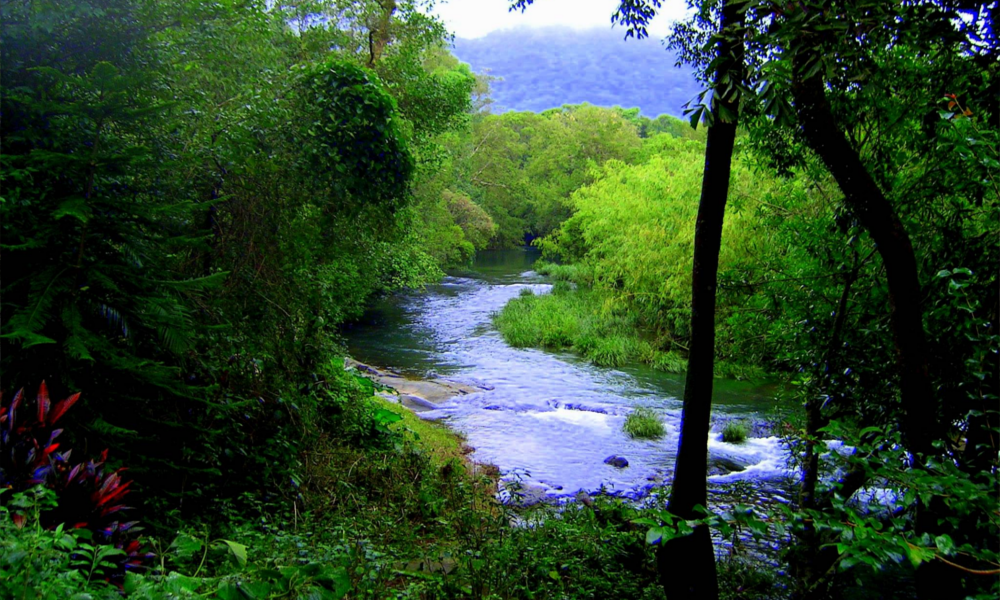 Nhờ sự cống hiến của hai vợ chồng cô Pamela Gale và anh Anil Malhotra, hàng trăm mẫu đất hoang hóa đã trở thành ngôi nhà của hệ động, thực vật hiếm lạ ở Ấn Độ. Điều này thực sự là một phép màu do chính bàn tay con người tạo ra.