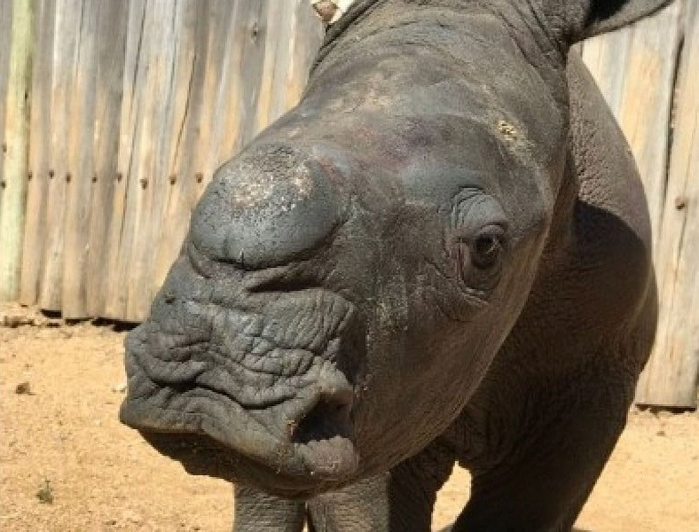 Te giac khoc nac ben xac me bi bon san trom giet chet-Hinh-5