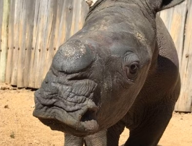 Te giac khoc nac ben xac me bi bon san trom giet chet-Hinh-5