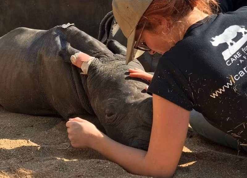 Te giac khoc nac ben xac me bi bon san trom giet chet-Hinh-3