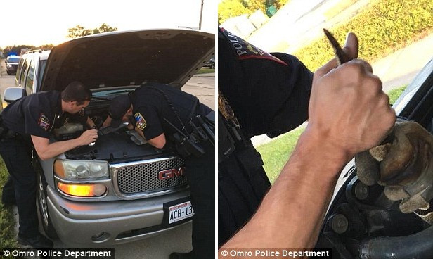 Chuyen la hom nay: Thay xe chay la, mo mui xe, phat hien kinh di...-Hinh-2